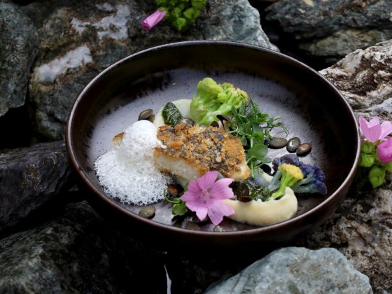 bio biologisch restaurant saalbach hinterglemm 3