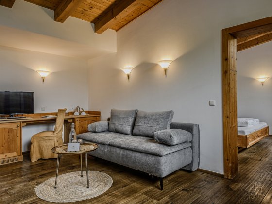 wellness hotel apartment kristall saalbach hinterglemm 2