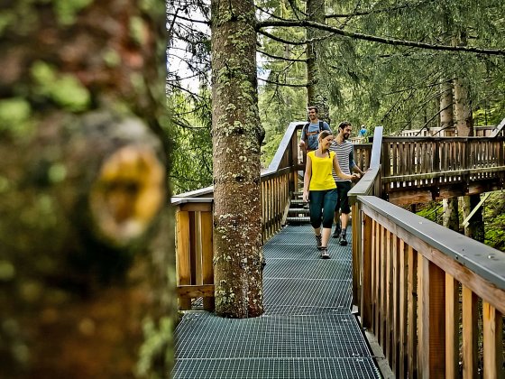 baumzipfelweg saalbach hinterglemm 2
