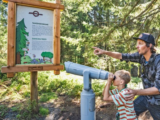 kodok s wissensweg saalbach hinterglemm reiterkogel 1