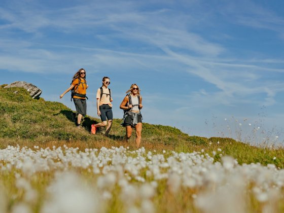 sommerurlaub saalbach hinterglemm wandern