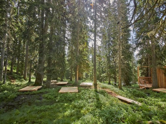 wald wellness saalbach hinterglemm 2