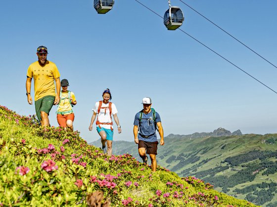 wandern sommer saalbach hinterglemm gondel 1779947806