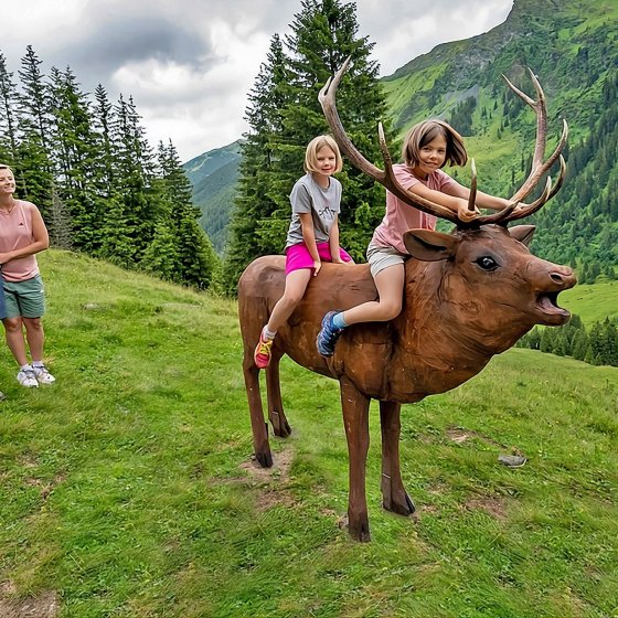 wildlife trail saalbach hinterglemm 4