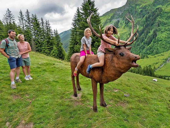 wildlife trail saalbach hinterglemm 4