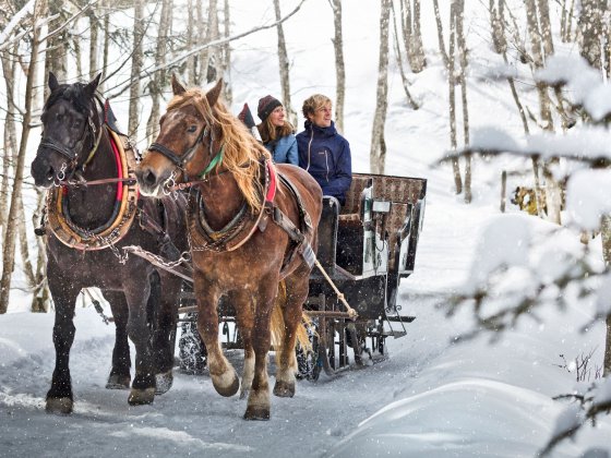 winterurlaub saalbach hinterglemm pferdeschlitten 3